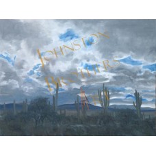 Saguaro Dark Sky Saguaro Dark Sky